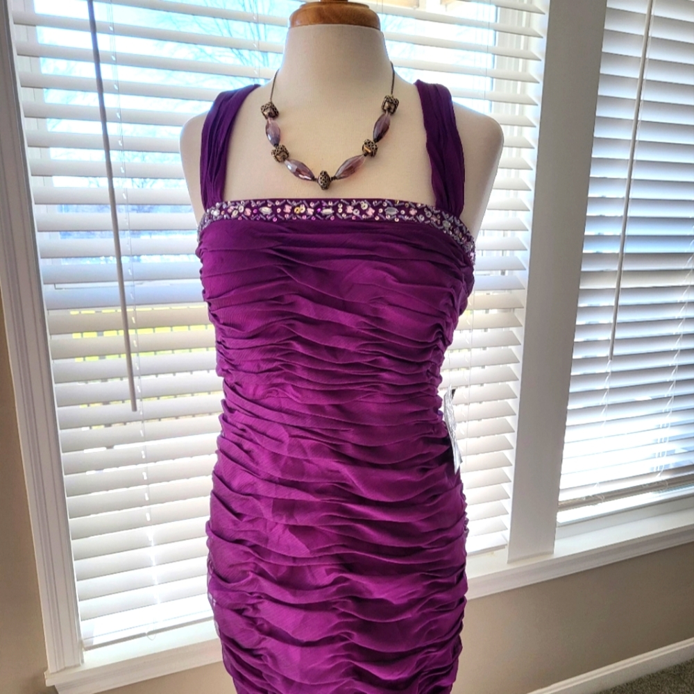 Ignite Evenings by Carol Lin – Purple Evening/Cocktail Dress (Size 12)